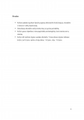 www.speros.lt